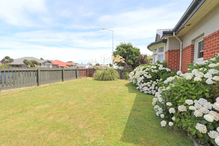 332 Tay Street Turnbull Thomson Park_29