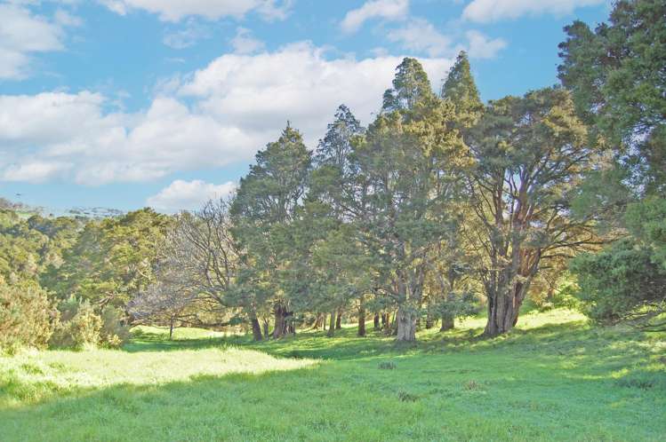 36 Tawa Avenue Kaiwaka_5