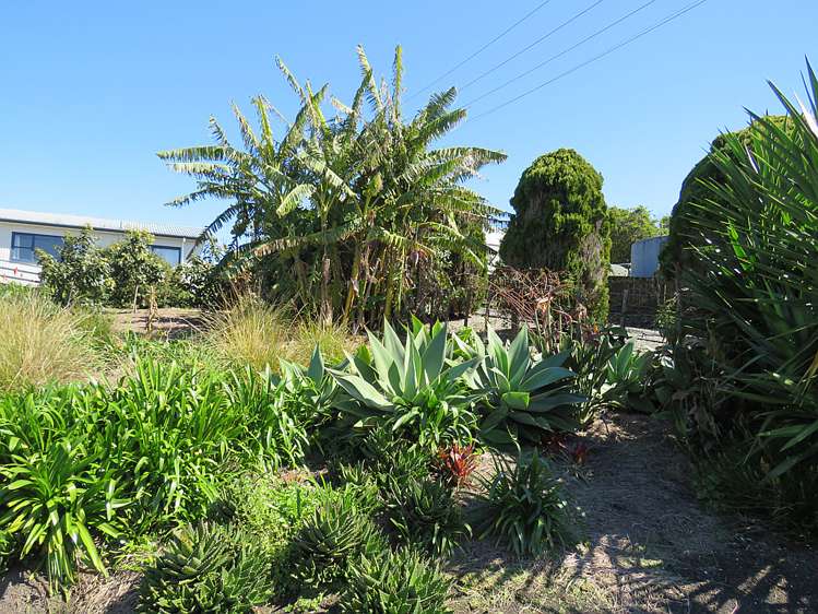 600 Pahi Road Paparoa_5