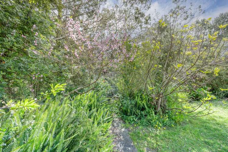 224 Hokianga Road Dargaville_16