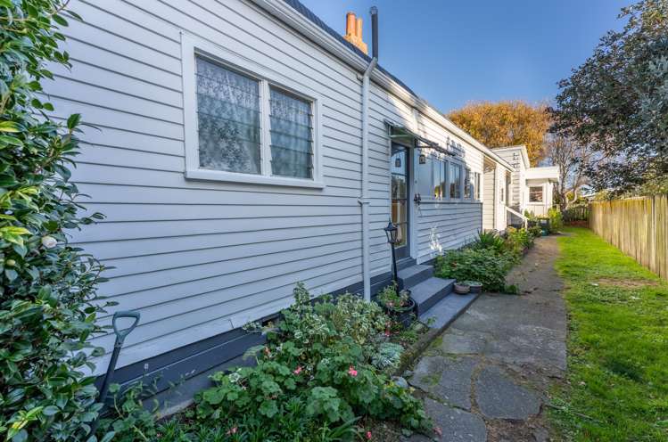 Waerenga Road Otaki_11