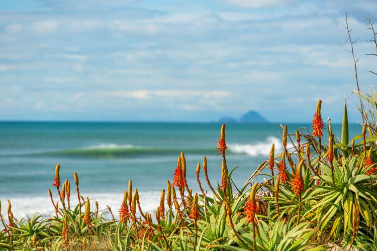 509 Pukehina Parade Pukehina_29