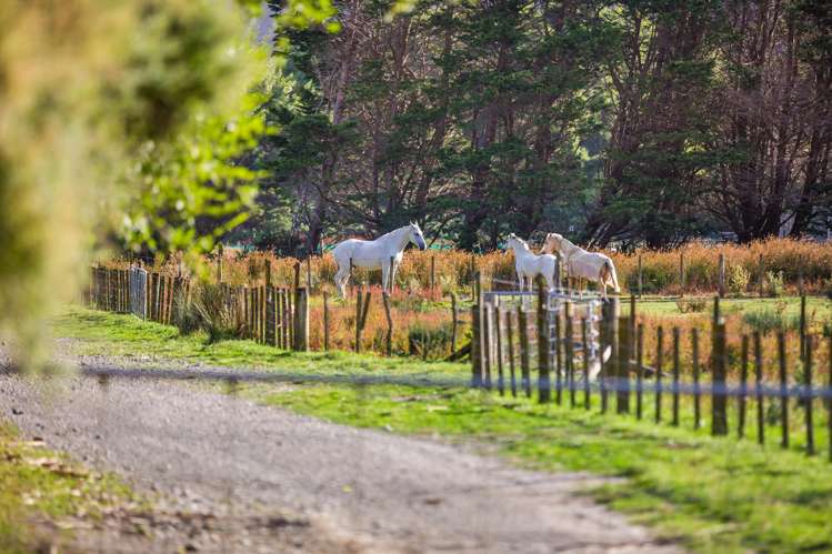 Lot 2/269 Grays Road Pauatahanui_4
