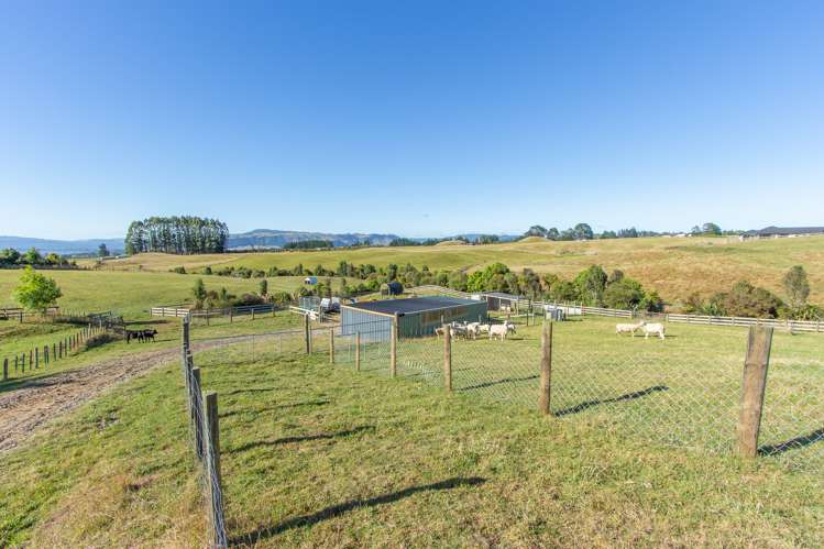 9 Todd Duncan Drive Hamurana_11