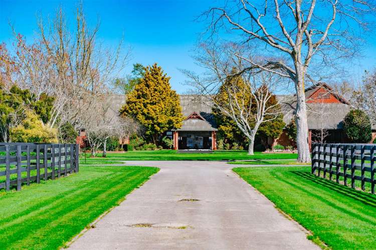 122 Rotoorangi Road Cambridge_13