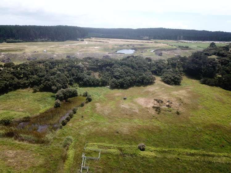 96 Mcmanus Road Houhora_9
