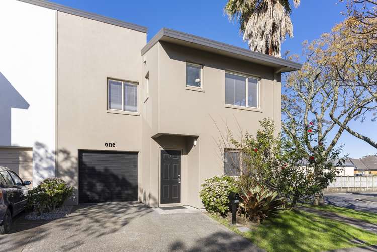 1 Butia Avenue Henderson_11