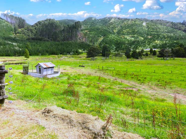 2218 Tangowahine Valley Road Dargaville Surrounds_14