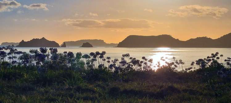 42 Skippers Road Opito Bay_22