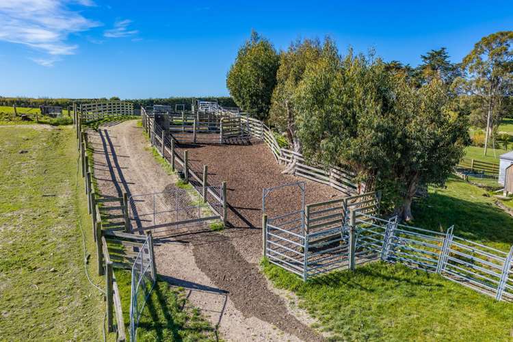 266 Rangiora Leithfield Road Sefton_22