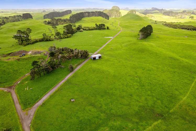 677 Newall Road Newall_7