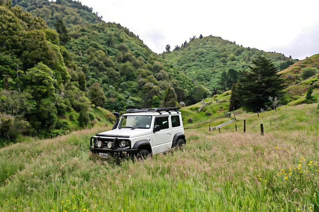 7957 State Highway 2 Opotiki Surrounds_2