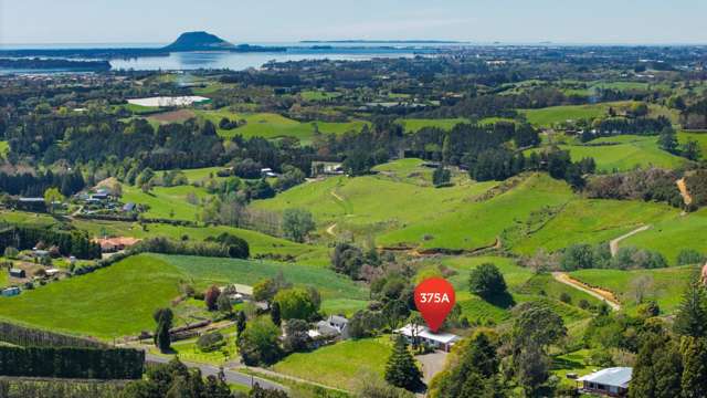 375A Esdaile Road Whakamarama_1