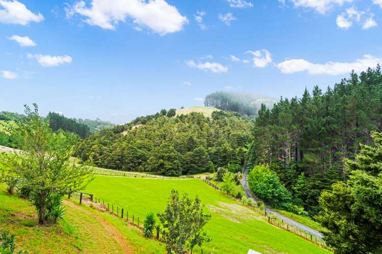 233 Ngunguru Ford Road Kiripaka_22