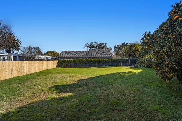 8A Beach Street Whakatane_4