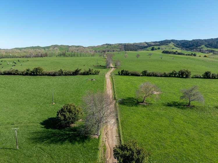 97 Herbert Road Morrinsville_13