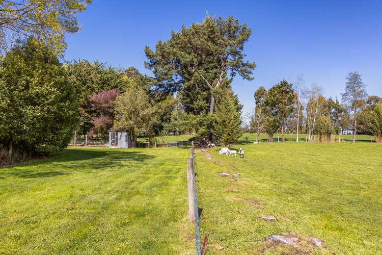 275 Beatties Road Ashley_19