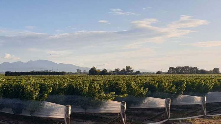 33 Corletts Road Fairhall_20