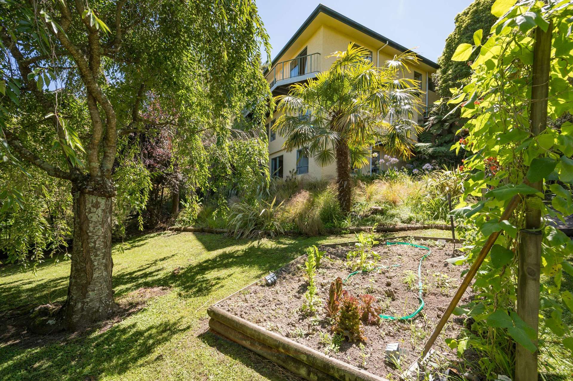 30 Maire Street Tahunanui_0