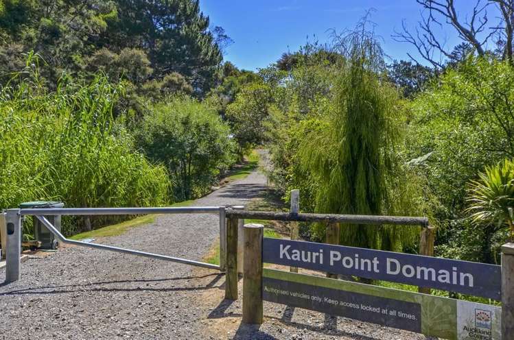 31a Balmain Road Birkenhead_17