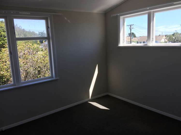 7 Ventura Grove Bulls_25