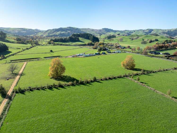 133 Flume Road Te Miro_20