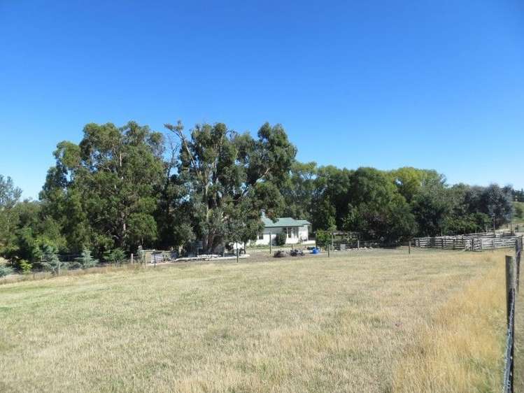 588 Waipiata Naseby Road Ranfurly_12