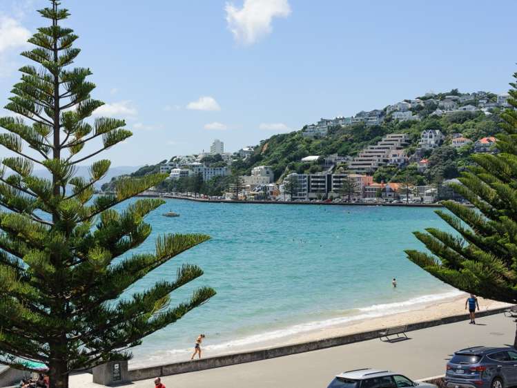 2a/172 Oriental Parade Oriental Bay_3