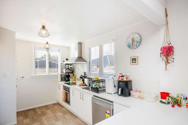 30b Alfred Street Roslyn_3