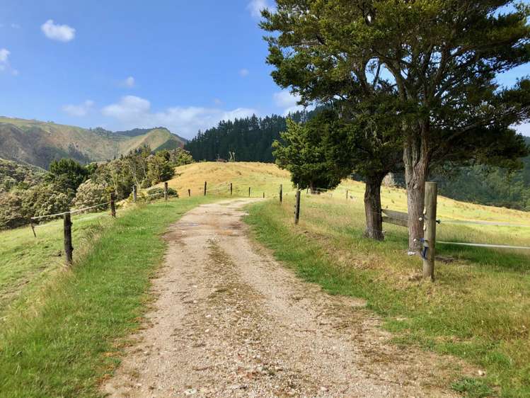 3609 State Highway 10 Kaeo_5