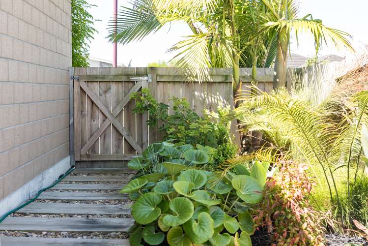 4 Captains Loop Haruru_19