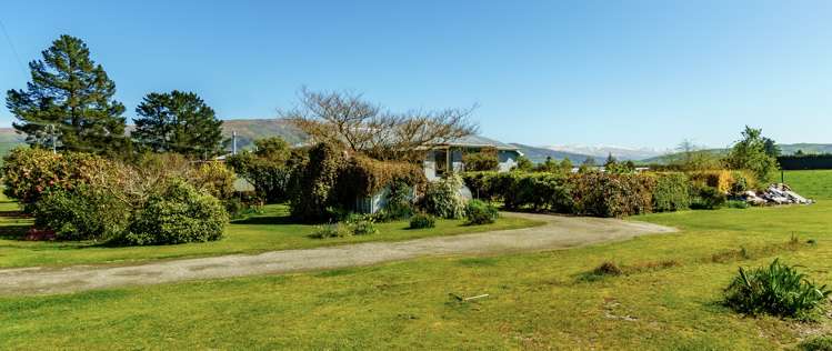 7 Domain Road Ettrick_6