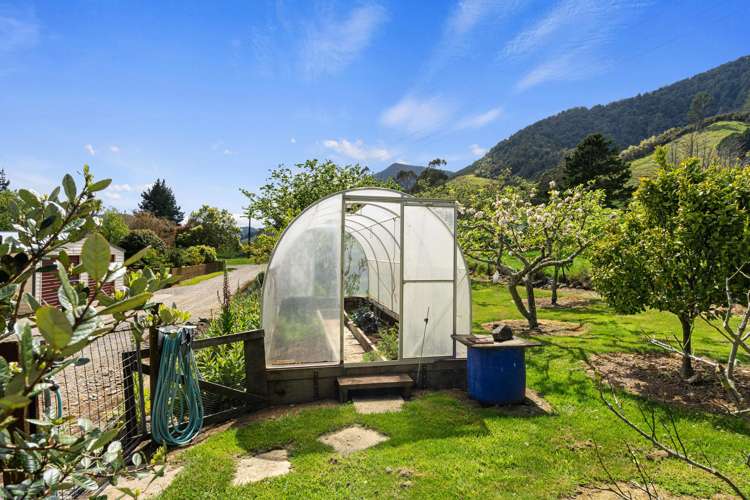 650 Ronga Road Rai Valley_24