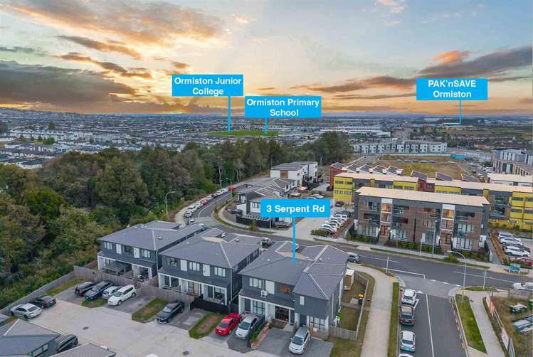 3 Serpent Road Flat Bush_15