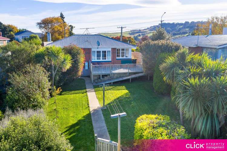 115 Mornington Road Kenmure_0