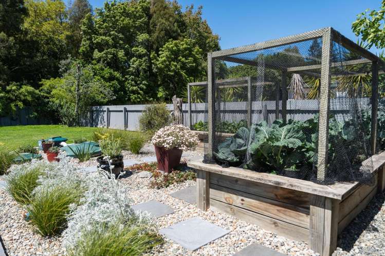 682 Puketapu Road Puketapu_19