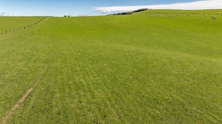 614 Omihi Road Omihi_17