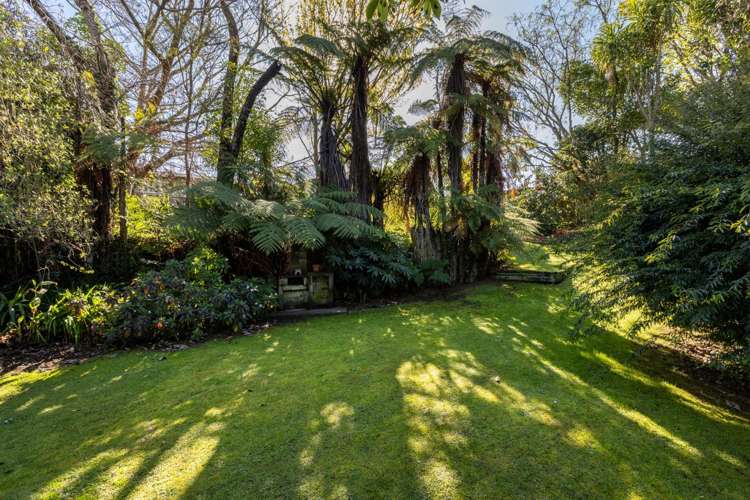 120 Cameron Road Te Puke_15