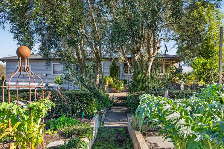 37 Dublin Street Martinborough_22