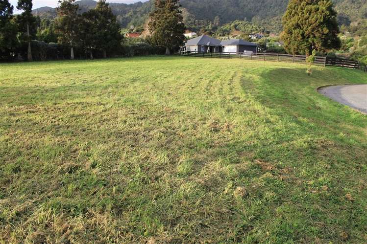 75 Beech Lane Coromandel_0