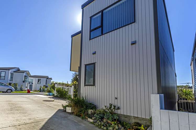 2A Robin Lane Browns Bay_15