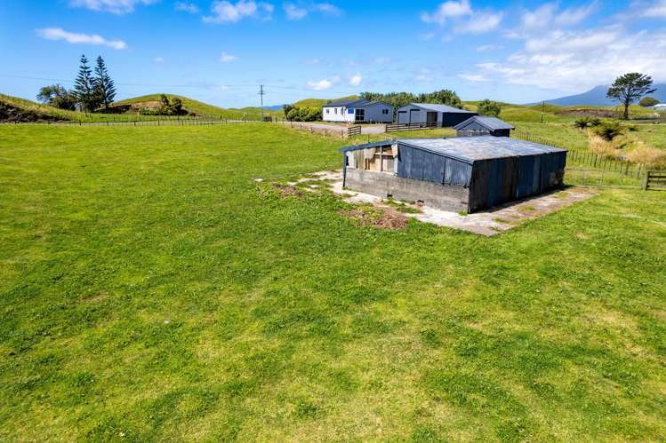 282 Warea Road Warea_4