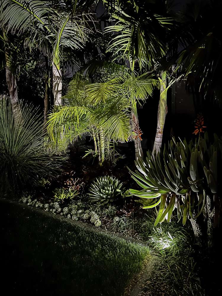 20a Webber Street Westmere_11