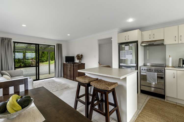 557 Esdaile Road Whakamarama_7