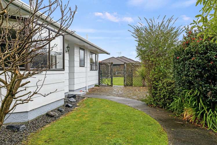 7 Pain Street Bulls_15