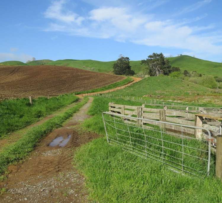 48 Barber Road Otewa_19