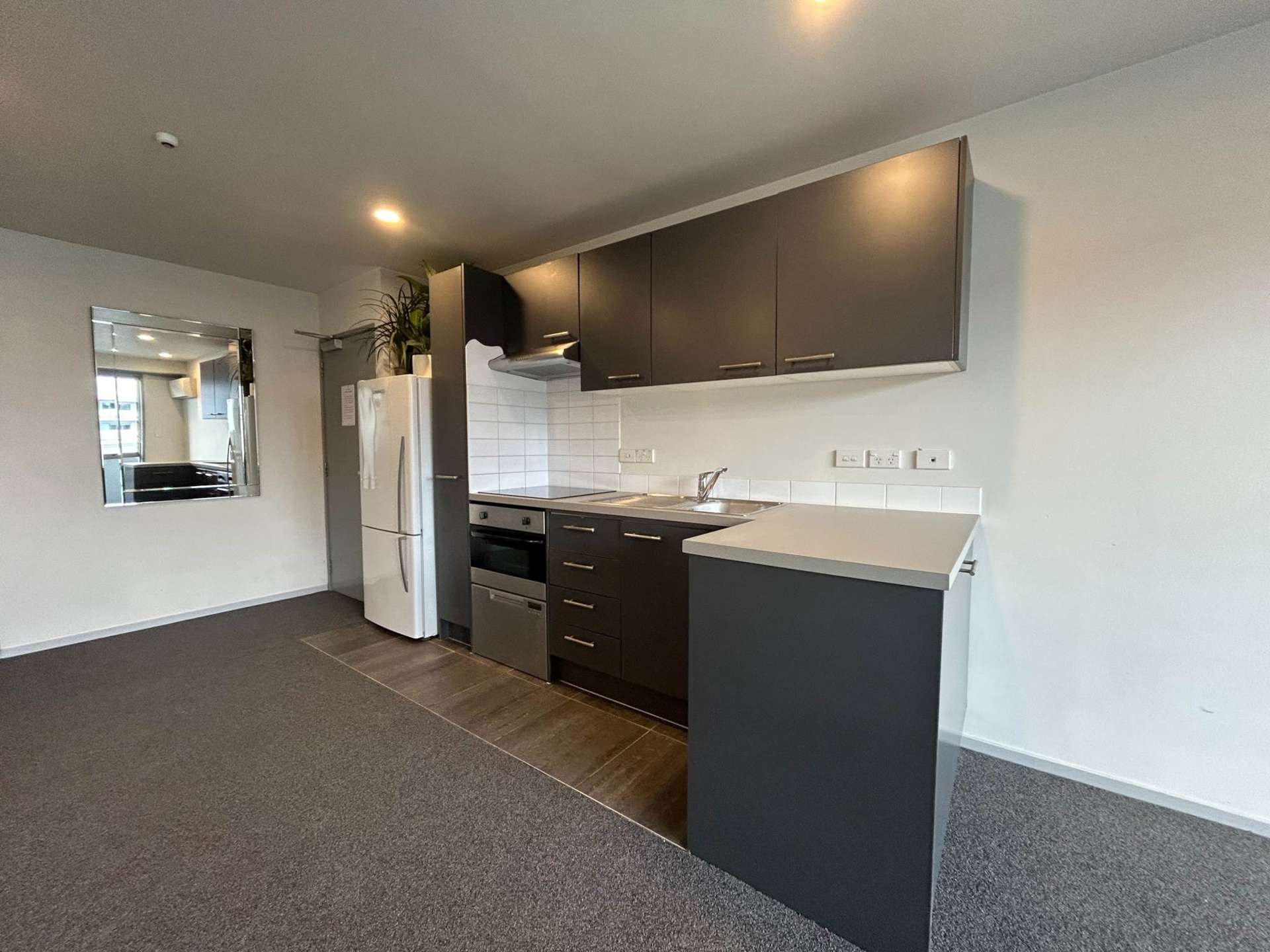 2C/1 Ophir Street Grey Lynn_0