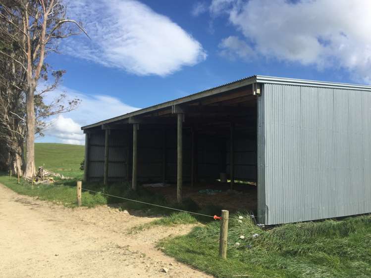 1550 Top Grass Road Rangitikei Surrounds_3