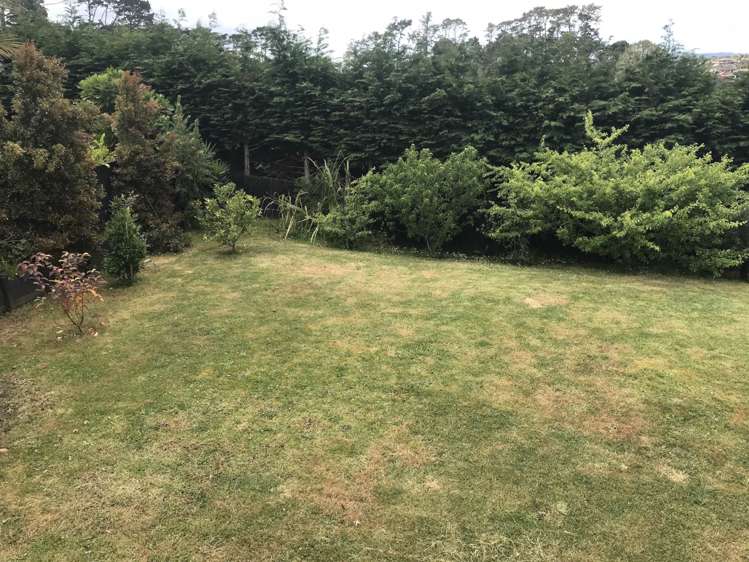 63 Lake Panorama Drive Henderson_17