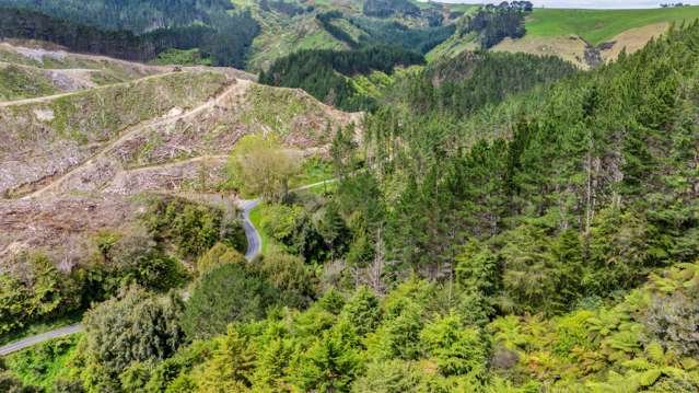 Lot 6 Tangahoe Valley Road Ohangai_3